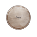 Djembe Heads