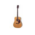 Acoustic Guitars