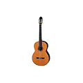 Double Bass Guitar 6-string sets