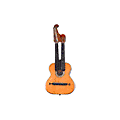 Schrammel Guitar