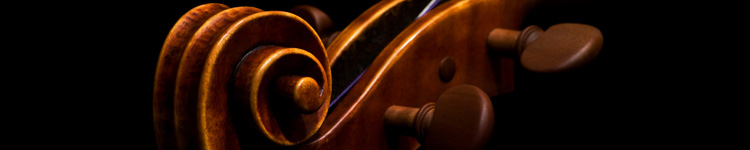 Violin
