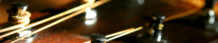 Acoustic Guitar