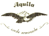 Aquila