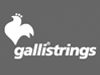 Galli