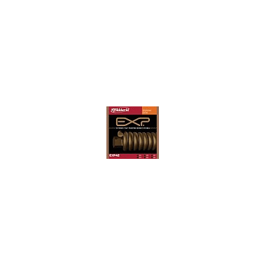 D'Addario EXP42 Phosphor Bronze Resophonic