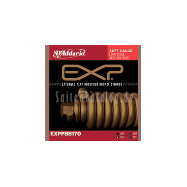 D'Addario EXPPBB170 EXP Coated Phosphor Bronze Acoustic Bass, Long Scale