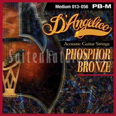 D'Angelico Fósforo Bronce XL