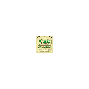 D'Addario J60 Banjo Nickel light 5-string Loop End