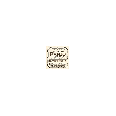 D'Addario J61 Banjo Nickel medium 5-string Loop End