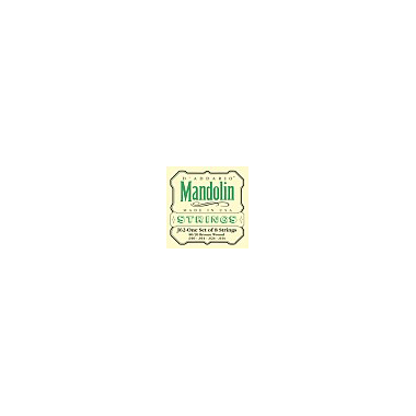 D'Addario J62 Mandolin 80/20 Bronze light Loop End