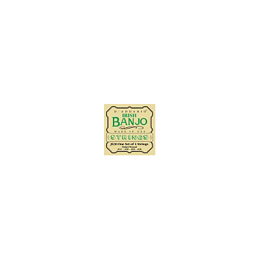 D'Addario J63i Irish Tenor Banjo Nickel 4-string Loop End