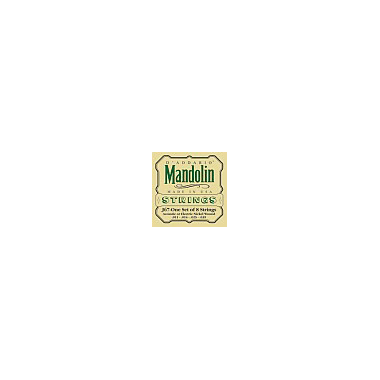 D'Addario J67 Mandolin Nickel medium Loop End