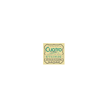 D'Addario J96 Cuatro Puerto Rico Silver Wound on Silk 10-string
