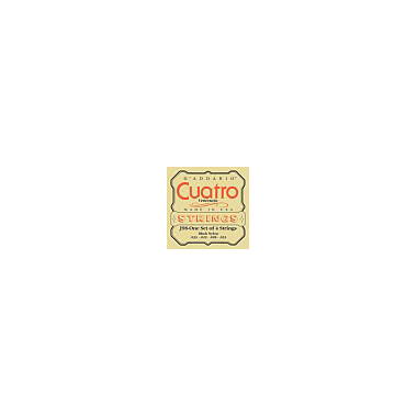 D'Addario J98 Cuatro Venezuela Black Nylon 4-string medium