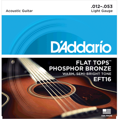 D'Addario EFT16 FLAT TOP Phosphor Bronze Wound, Light