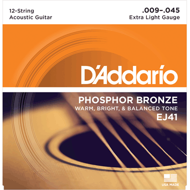 D'Addario EJ41 12- String XL
