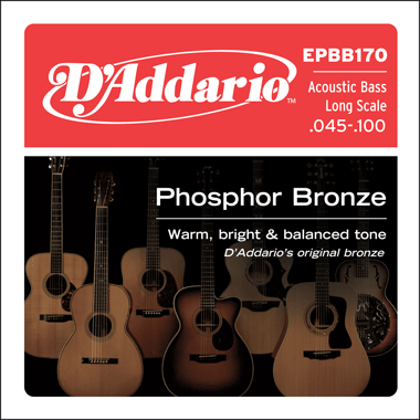 D'Addario EPBB170 Acoustic Bass Phosphor Bronze, Long Scale