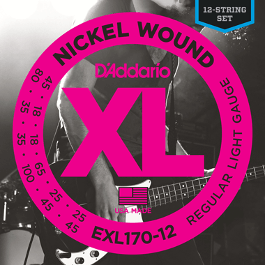D'Addario EXL170-12 Bass Nickel Roundwound 12-string Long Scale