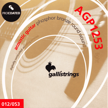 Galli AGP1253 ACOUSTIC Guitar PROcoated Phosphor Bronze, light