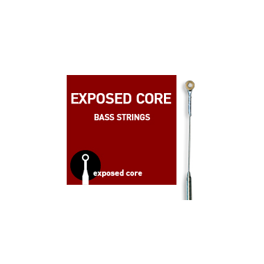 Galli ECS5 EXPOSED CORE Bass Stainless Steel Roundwound, 5-string