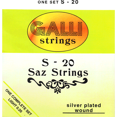 Galli S020 SAZ Silverplated Wound Set, light