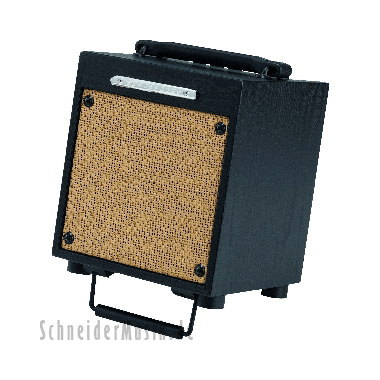 Ibanez T10 TROUBADOUR Acoustic Guitar Amplifier (10 Watt)