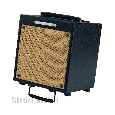 Ibanez T20 TROUBADOUR Acoustic Guitar Amplifier (20 Watt)