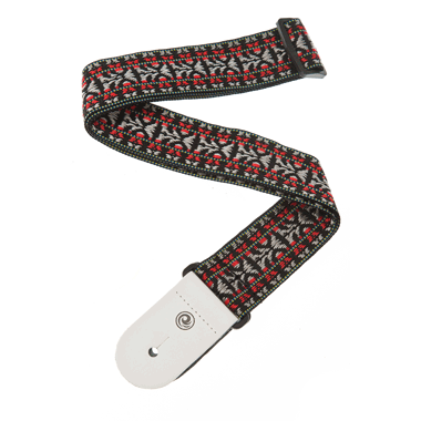 Planet Waves 50G01 Textile Collection Woven Strap (nylon) - Hootenanny 2