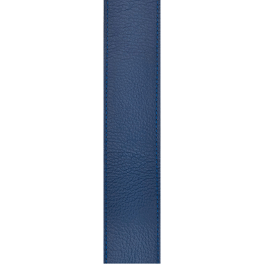 Planet Waves 50PLL02 Planet Lock Leather Strap, blue
