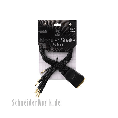 Planet Waves PW-TTMB-01 Modular SNAKE Bantam/TT Male Breakout Cable