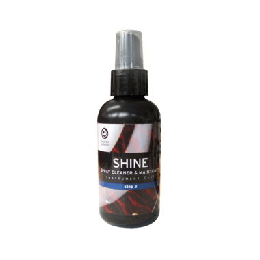 Planet Waves PW-PL-03 Shine Spray "SHINE"