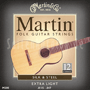 Martin M200 Silk & Steel Folk L  12-string