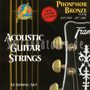 Framus 47240 Phosphor Bronze 12-string (2x G-6)