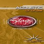 Stagg Acoustic Guitar Bronze XL