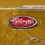 Stagg Acoustic Guitar Bronze L