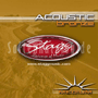 Stagg Acoustic Guitar Bronze M