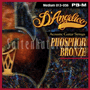 D'Angelico Fósforo Bronce XL