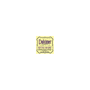 D'Addario J64 Dulcimer Nickel 4-string medium