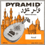 Pyramid Arabic Aoud Nylon Orange 10-strings d-3 wound