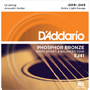 D'Addario EJ41 12- String XL