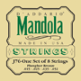 D'Addario J76 Mandola Phosphor Bronze Set, medium