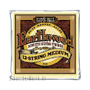 Ernie Ball 2012 Earthwood Bronze, Medium (12-string)