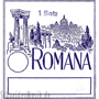 Romana Raffele (Raffel cítara) Juego 3-cuerdas