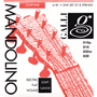 Galli A181 MANDOLINO Electric Flat Wound, Loop End