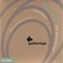 Galli AJF1047 ACOUSTIC Guitar Jazz Flat 80/20 Bronze Flat Wound, extra light