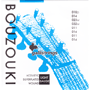 Galli B070 BOUZOUKI (Acoustic) Silverplated Wound Set