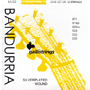 Galli BA125 Bandurria (12-string) Set Silverplated Wound