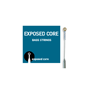 Galli ECN5 EXPOSED CORE Bass Nickel Roundwound, 5-string