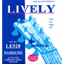 Galli LE520 MANDOLINO Chrome Steel Wound, Loop End
