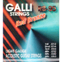 Galli RB95 Acoustic RED BRONZE Wound, light